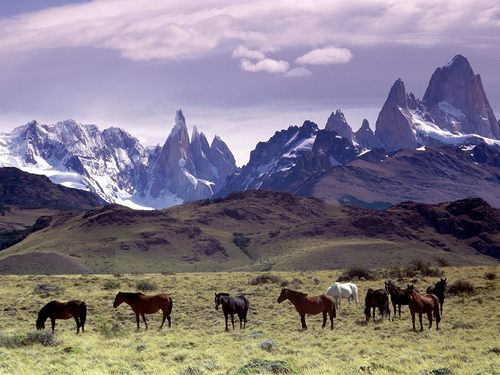 Quelques richesses d'Argentine