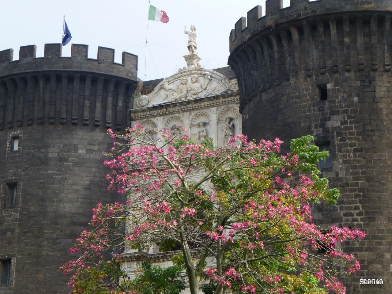 Croisière avec Semino Rossi